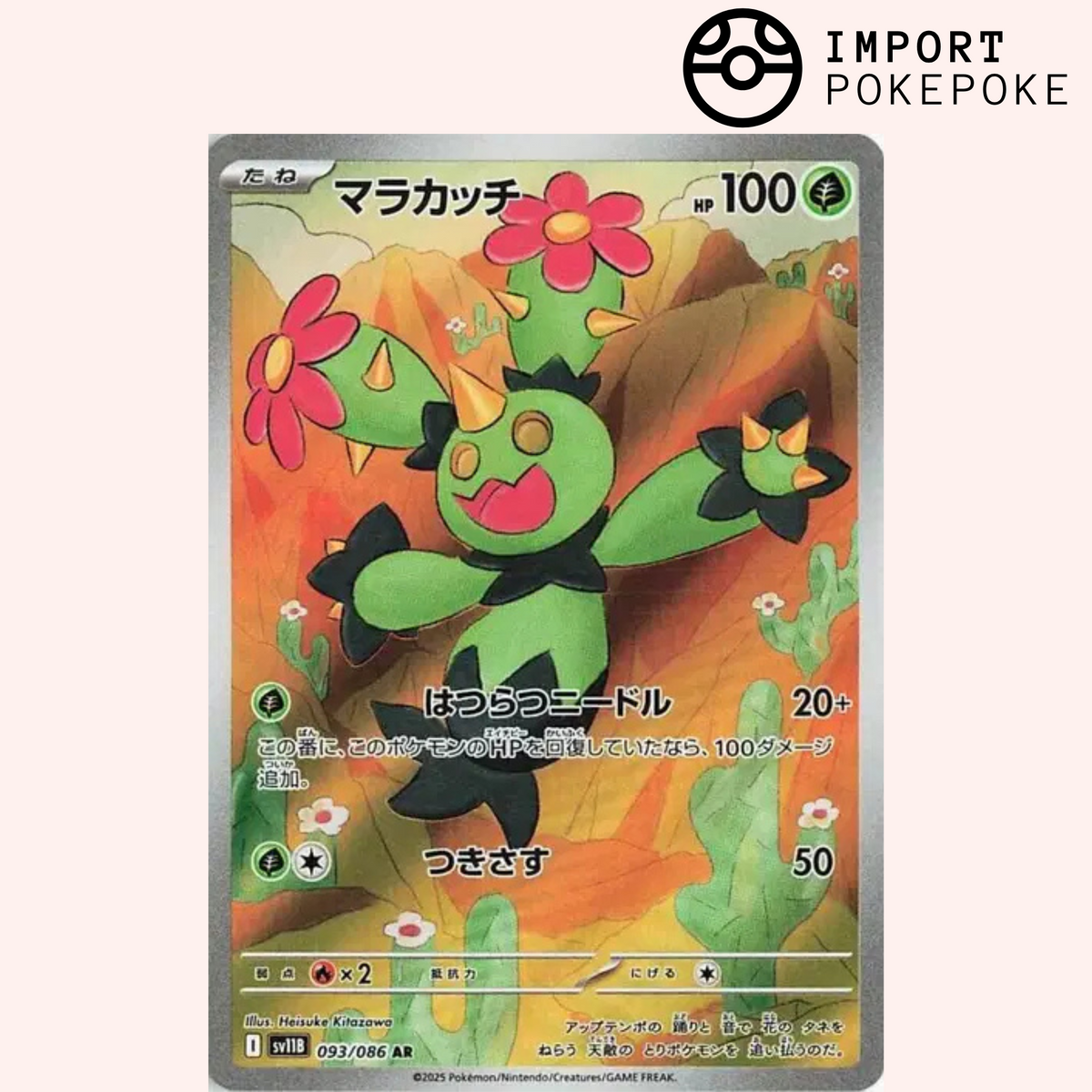 Maracachi AR 093/086 - Black Bolt - SV11B