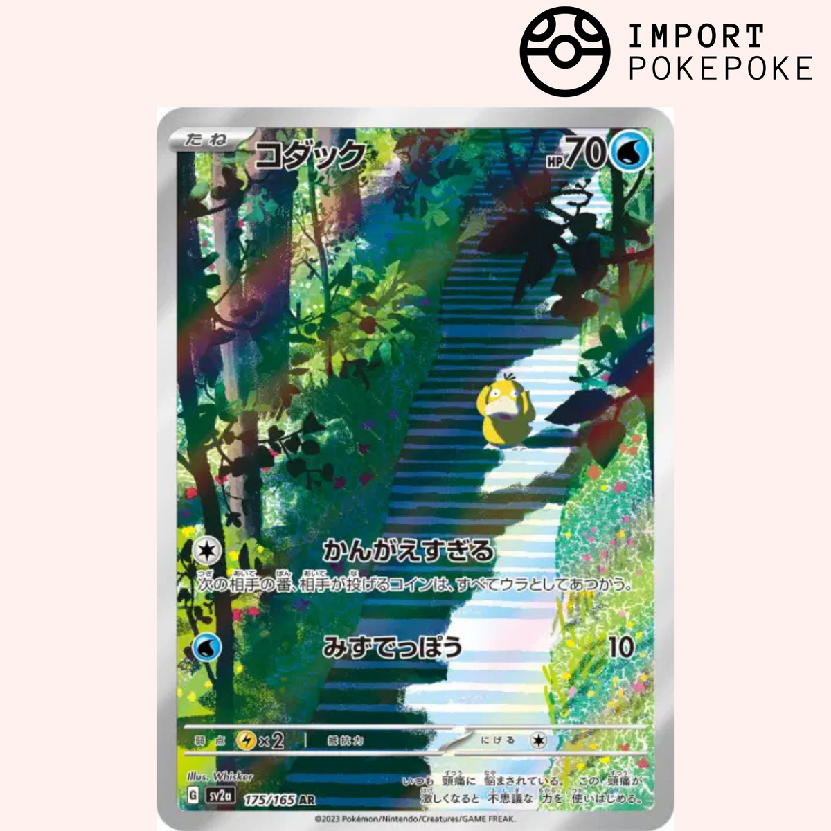 Psykokwak AR 175/165 - SV2A