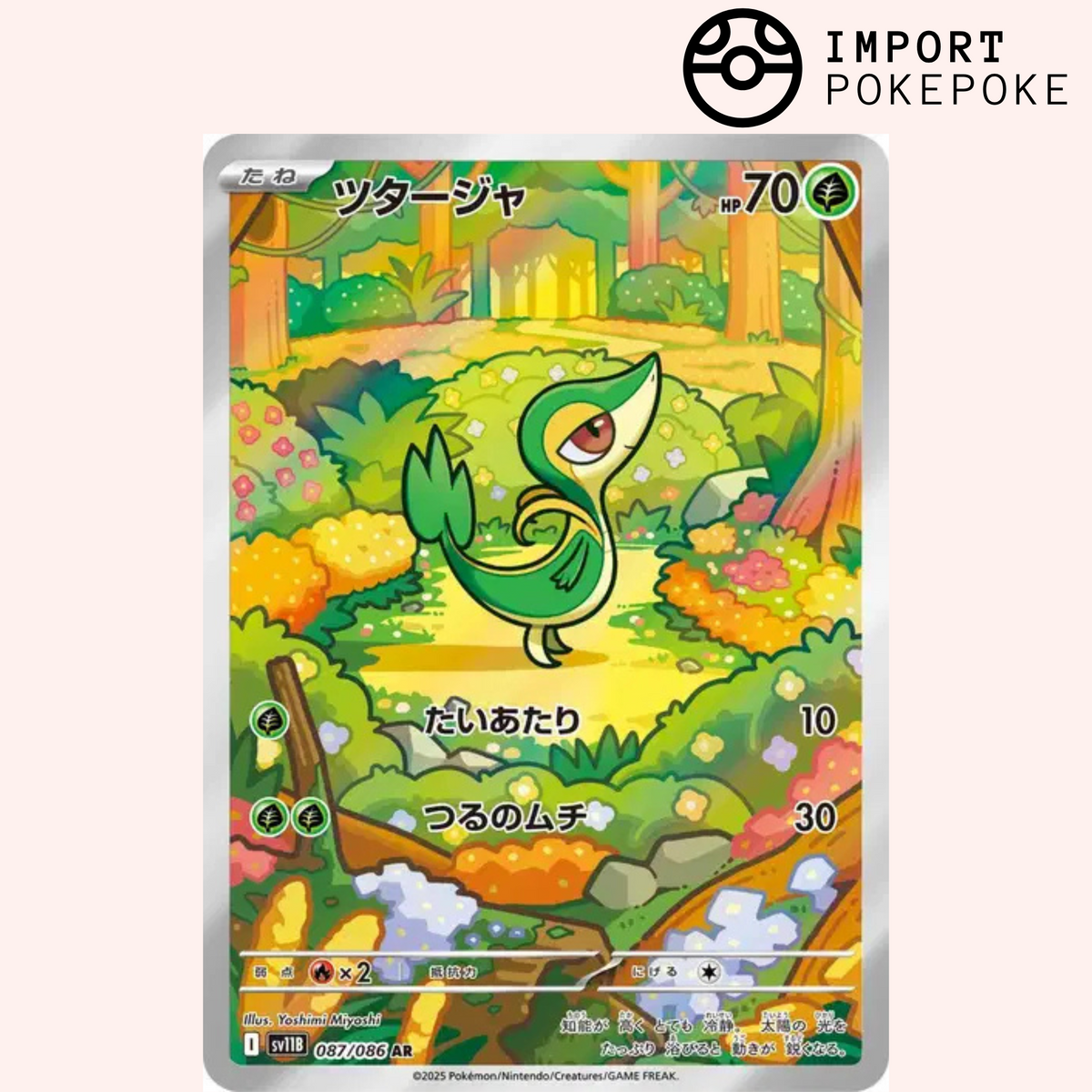 Vipélierre AR 087/086 - Black Bolt - SV11B